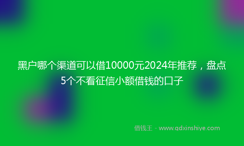 黑户哪个渠道可以借10000元2024年推荐，盘点5个不看征信小额借钱的口子