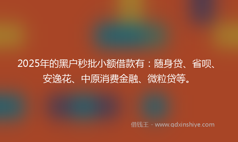 2025年的黑户秒批小额借款有：随身贷、省呗、安逸花、中原消费金融、微粒贷等。