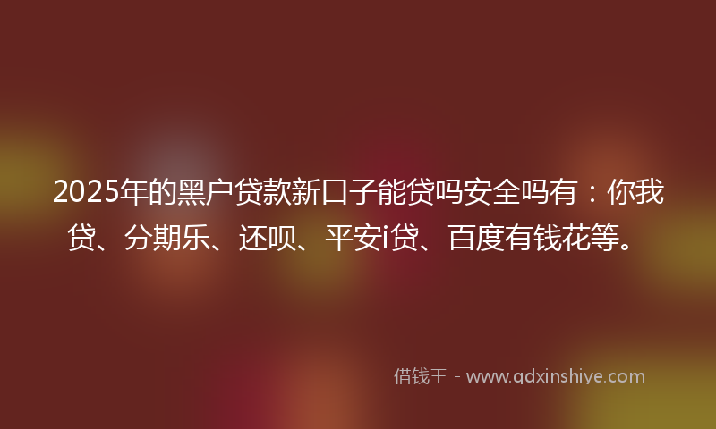 2025年的黑户贷款新口子能贷吗安全吗有：你我贷、分期乐、还呗、平安i贷、百度有钱花等。