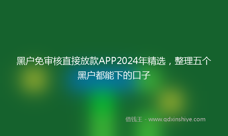 黑户免审核直接放款APP2024年精选，整理五个黑户都能下的口子