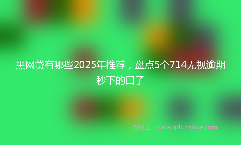 黑网贷有哪些2025年推荐，盘点5个714无视逾期秒下的口子