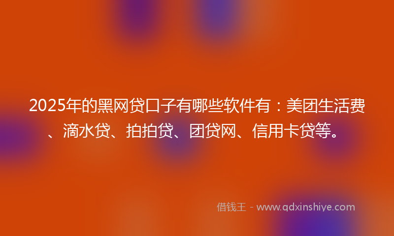 2025年的黑网贷口子有哪些软件有：美团生活费、滴水贷、拍拍贷、团贷网、信用卡贷等。