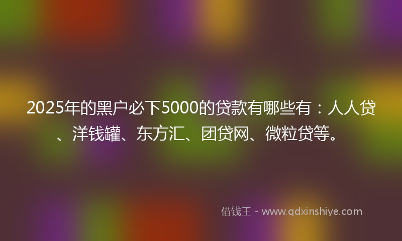 2025年的黑户必下5000的贷款有哪些有：人人贷、洋钱罐、东方汇、团贷网、微粒贷等。