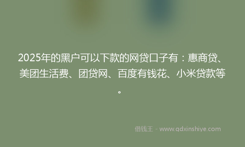 2025年的黑户可以下款的网贷口子有：惠商贷、美团生活费、团贷网、百度有钱花、小米贷款等。