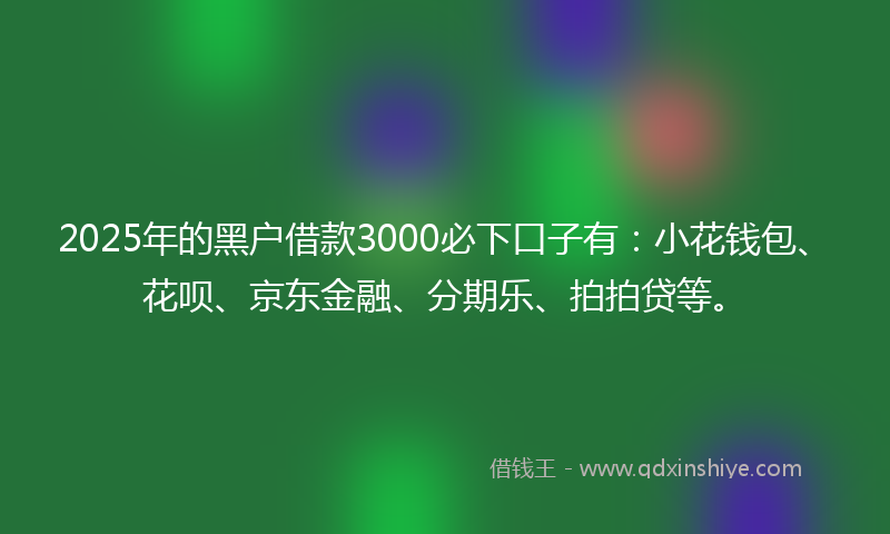 2025年的黑户借款3000必下口子有：小花钱包、花呗、京东金融、分期乐、拍拍贷等。