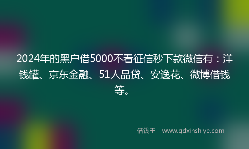 2024年的黑户借5000不看征信秒下款微信有：洋钱罐、京东金融、51人品贷、安逸花、微博借钱等。