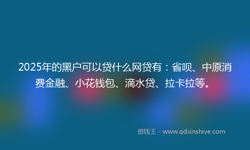2025年的黑户可以贷什么网贷有：省呗、中原消费金融、小花钱包、滴水贷、拉卡拉等。