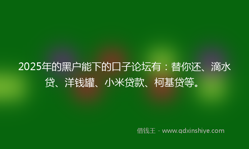 2025年的黑户能下的口子论坛有：替你还、滴水贷、洋钱罐、小米贷款、柯基贷等。