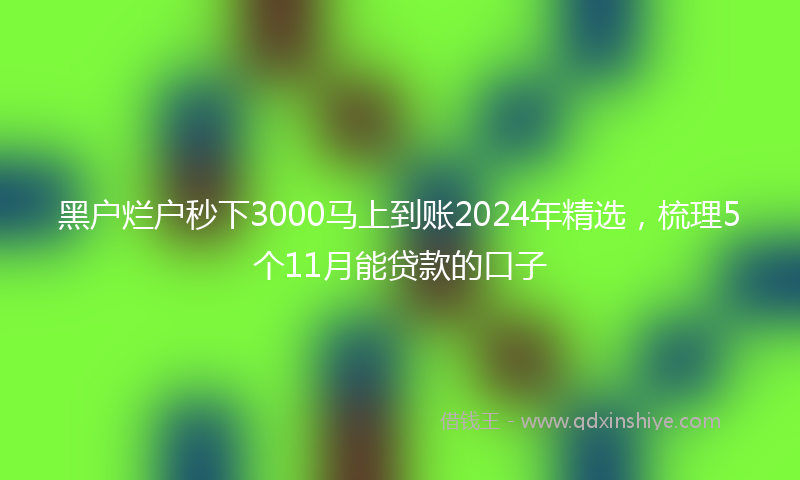 黑户烂户秒下3000马上到账2024年精选，梳理5个11月能贷款的口子