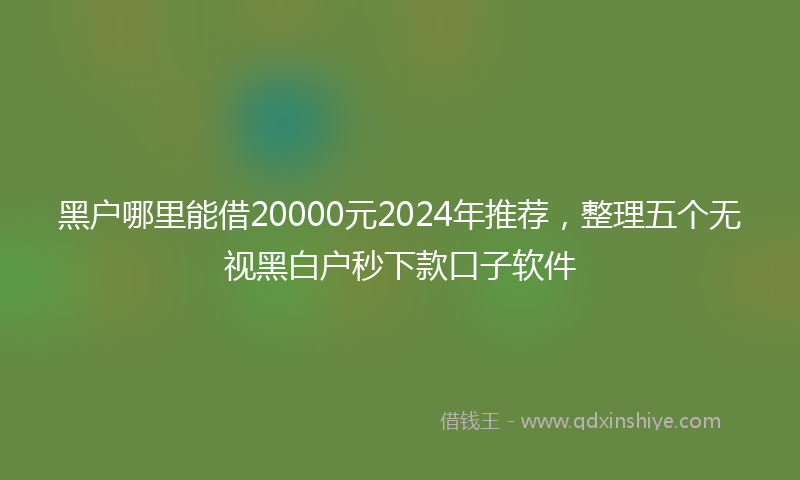 黑户哪里能借20000元2024年推荐，整理五个无视黑白户秒下款口子软件