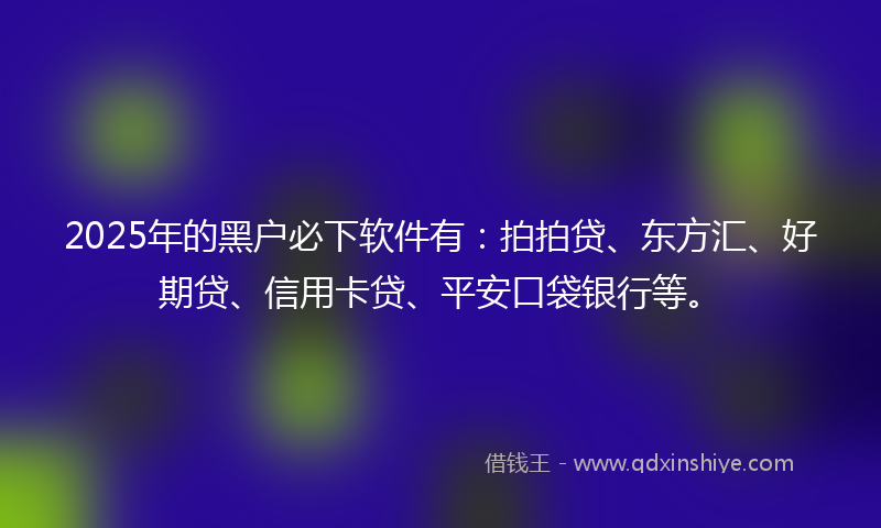 2025年的黑户必下软件有：拍拍贷、东方汇、好期贷、信用卡贷、平安口袋银行等。