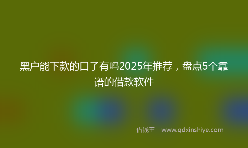 黑户能下款的口子有吗2025年推荐，盘点5个靠谱的借款软件