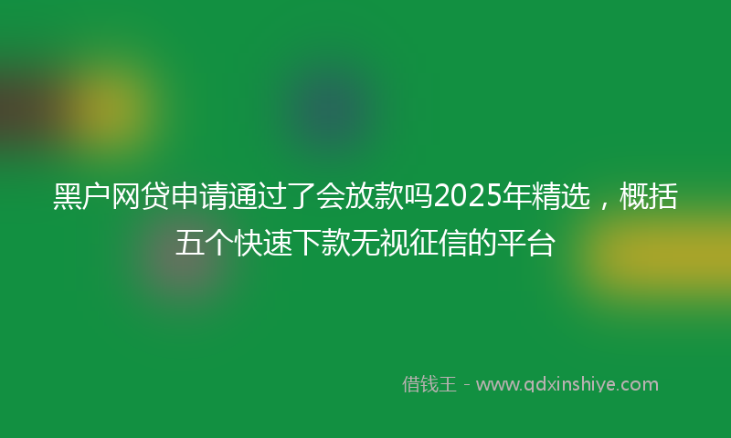 黑户网贷申请通过了会放款吗2025年精选，概括五个快速下款无视征信的平台