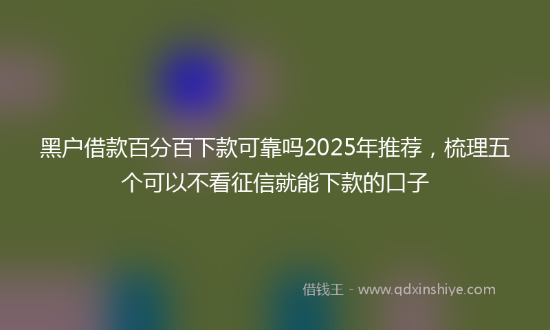 黑户借款百分百下款可靠吗2025年推荐，梳理五个可以不看征信就能下款的口子