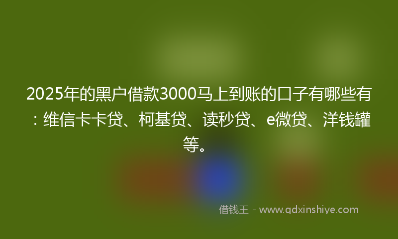 2025年的黑户借款3000马上到账的口子有哪些有：维信卡卡贷、柯基贷、读秒贷、e微贷、洋钱罐等。