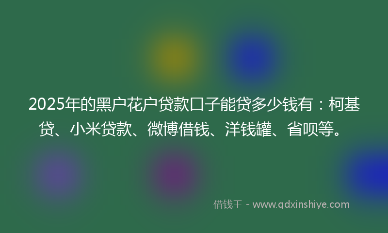 2025年的黑户花户贷款口子能贷多少钱有：柯基贷、小米贷款、微博借钱、洋钱罐、省呗等。