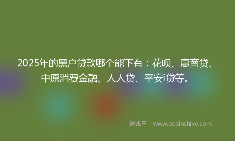 2025年的黑户贷款哪个能下有：花呗、惠商贷、中原消费金融、人人贷、平安i贷等。