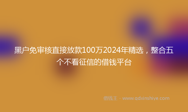 黑户免审核直接放款100万2024年精选，整合五个不看征信的借钱平台