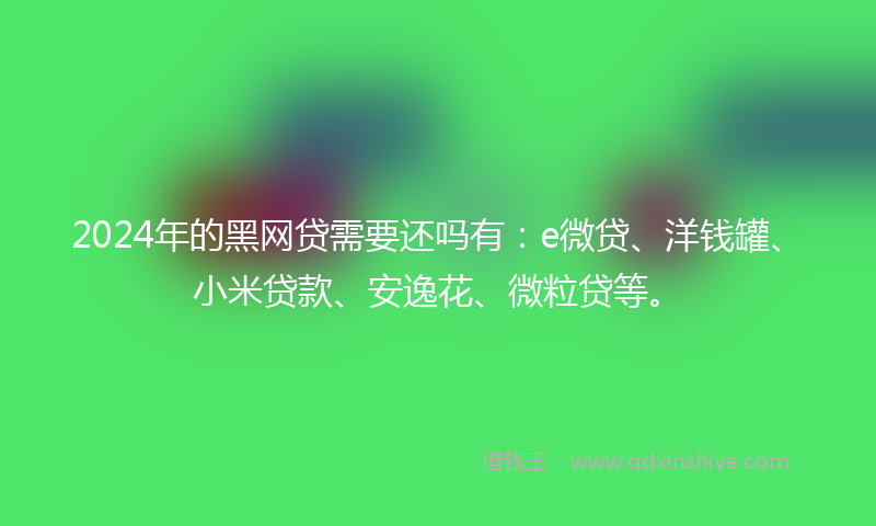 2024年的黑网贷需要还吗有：e微贷、洋钱罐、小米贷款、安逸花、微粒贷等。
