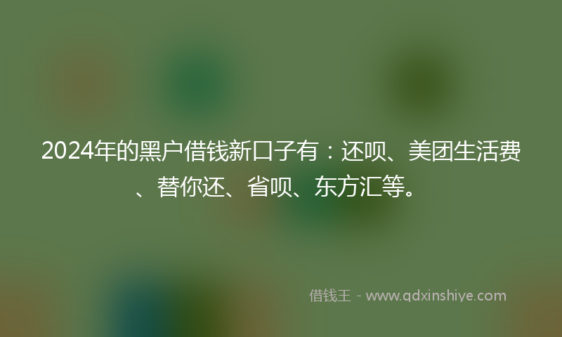 2024年的黑户借钱新口子有：还呗、美团生活费、替你还、省呗、东方汇等。