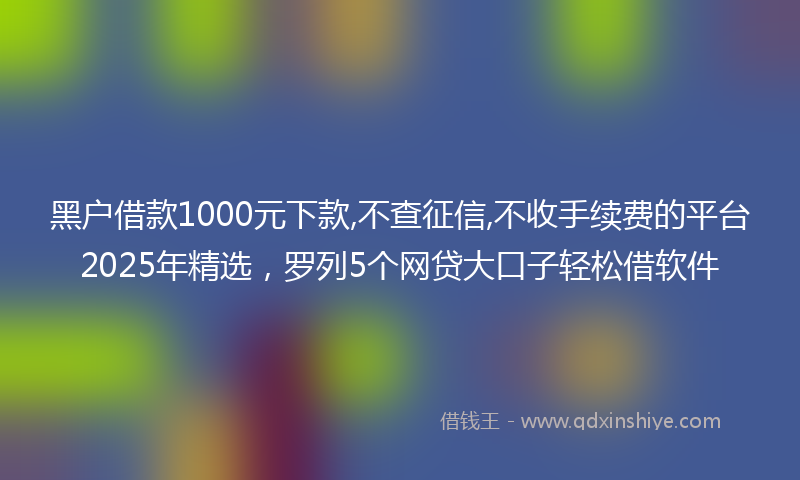 黑户借款1000元下款,不查征信,不收手续费的平台2025年精选，罗列5个网贷大口子轻松借软件