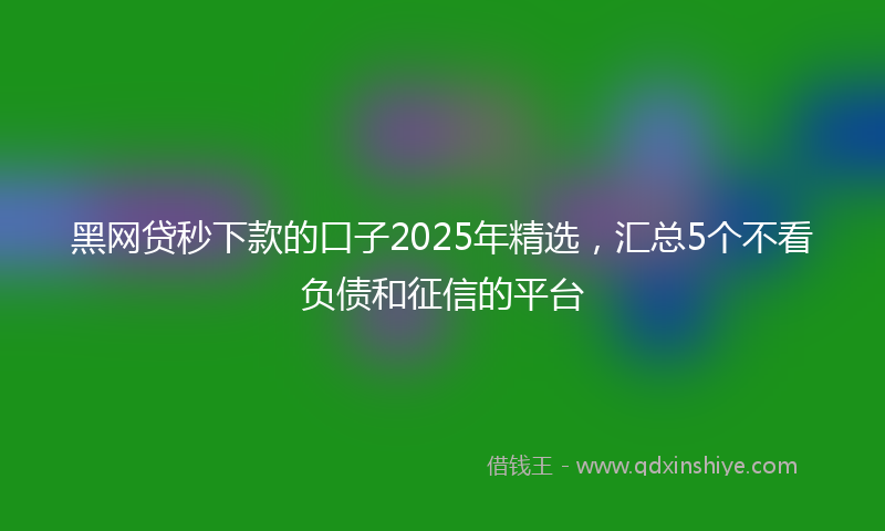 黑网贷秒下款的口子2025年精选，汇总5个不看负债和征信的平台