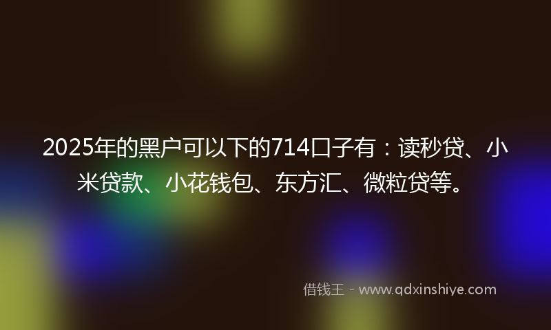 2025年的黑户可以下的714口子有：读秒贷、小米贷款、小花钱包、东方汇、微粒贷等。
