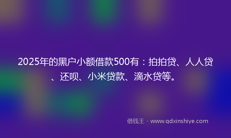 2025年的黑户小额借款500有：拍拍贷、人人贷、还呗、小米贷款、滴水贷等。