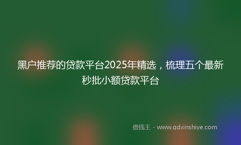 黑户推荐的贷款平台2025年精选，梳理五个最新秒批小额贷款平台