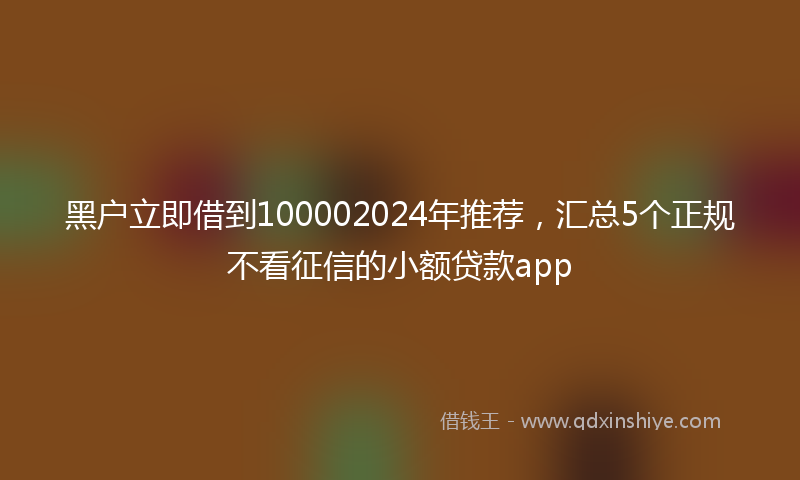 黑户立即借到100002024年推荐，汇总5个正规不看征信的小额贷款app