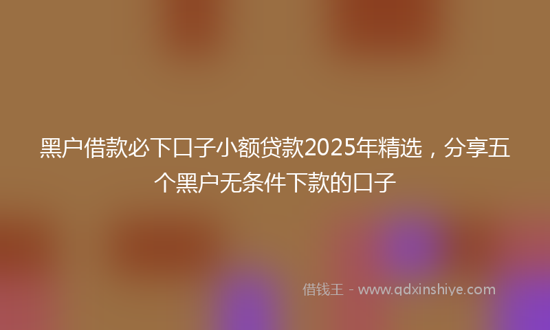黑户借款必下口子小额贷款2025年精选，分享五个黑户无条件下款的口子