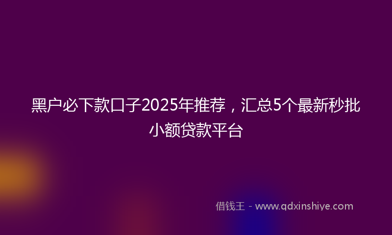 黑户必下款口子2025年推荐，汇总5个最新秒批小额贷款平台