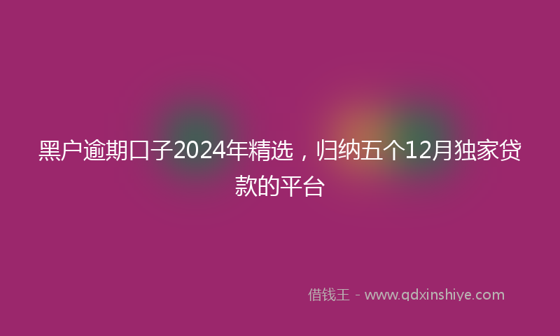 黑户逾期口子2024年精选，归纳五个12月独家贷款的平台