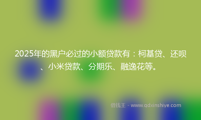 2025年的黑户必过的小额贷款有：柯基贷、还呗、小米贷款、分期乐、融逸花等。