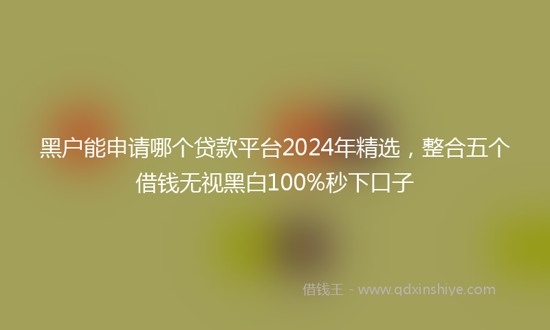 黑户能申请哪个贷款平台2024年精选，整合五个借钱无视黑白100%秒下口子