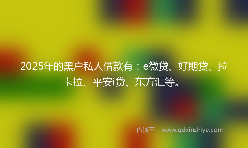 2025年的黑户私人借款有：e微贷、好期贷、拉卡拉、平安i贷、东方汇等。