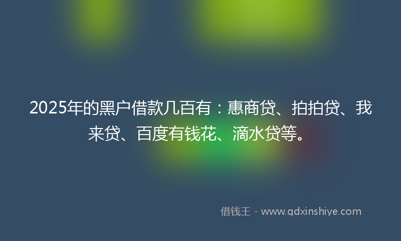 2025年的黑户借款几百有：惠商贷、拍拍贷、我来贷、百度有钱花、滴水贷等。