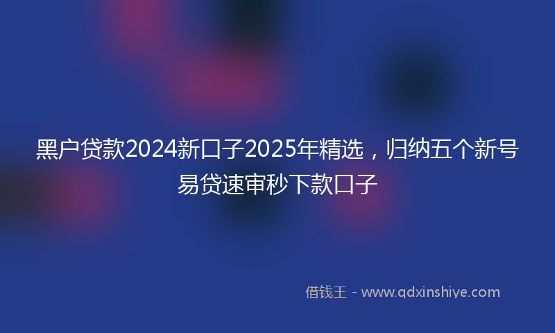 黑户贷款2024新口子2025年精选，归纳五个新号易贷速审秒下款口子