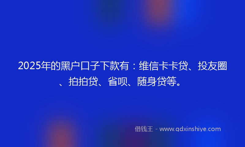 2025年的黑户口子下款有：维信卡卡贷、投友圈、拍拍贷、省呗、随身贷等。