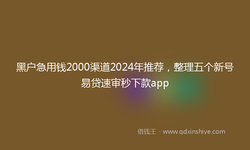 黑户急用钱2000渠道2024年推荐，整理五个新号易贷速审秒下款app