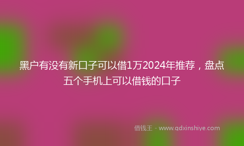 黑户有没有新口子可以借1万2024年推荐，盘点五个手机上可以借钱的口子