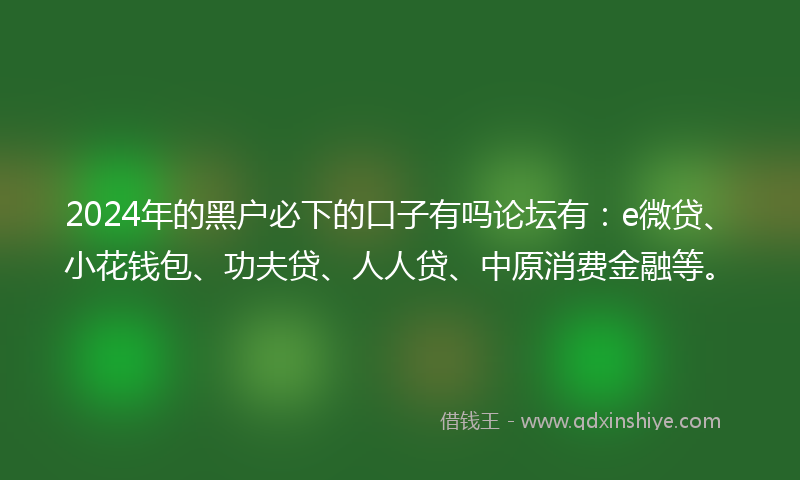 2024年的黑户必下的口子有吗论坛有：e微贷、小花钱包、功夫贷、人人贷、中原消费金融等。