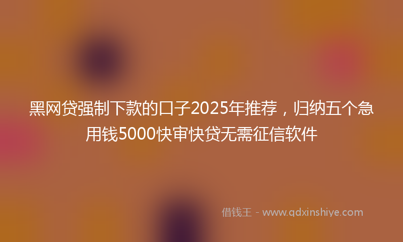 黑网贷强制下款的口子2025年推荐，归纳五个急用钱5000快审快贷无需征信软件
