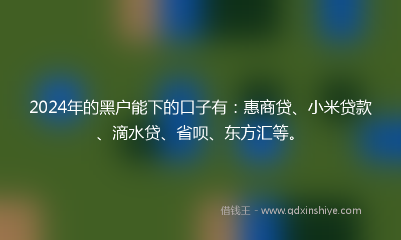 2024年的黑户能下的口子有：惠商贷、小米贷款、滴水贷、省呗、东方汇等。