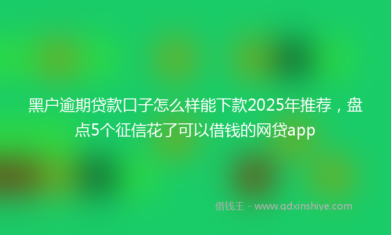黑户逾期贷款口子怎么样能下款2025年推荐，盘点5个征信花了可以借钱的网贷app