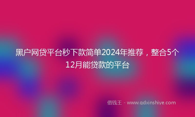 黑户网贷平台秒下款简单2024年推荐，整合5个12月能贷款的平台