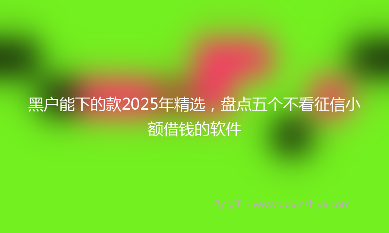 黑户能下的款2025年精选，盘点五个不看征信小额借钱的软件
