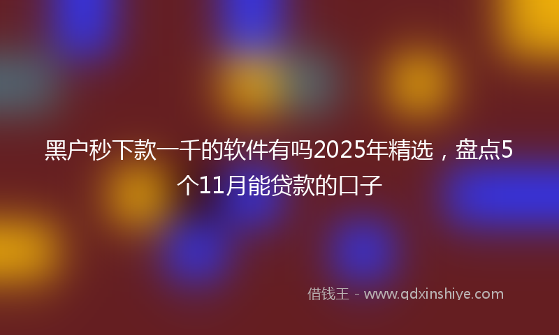 黑户秒下款一千的软件有吗2025年精选，盘点5个11月能贷款的口子