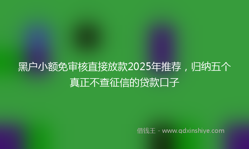 黑户小额免审核直接放款2025年推荐，归纳五个真正不查征信的贷款口子