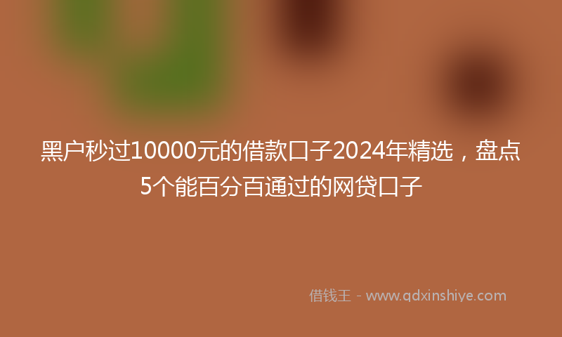 黑户秒过10000元的借款口子2024年精选，盘点5个能百分百通过的网贷口子